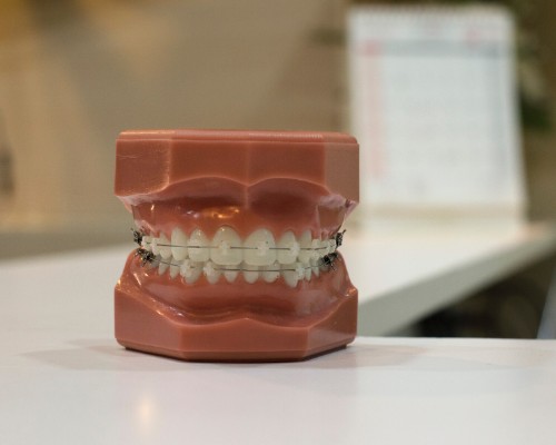 Adult Braces model at Crescent Lodge in Clapham, London