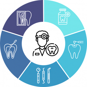 a pie chart explaining what treatments our emergency dentist experts offer